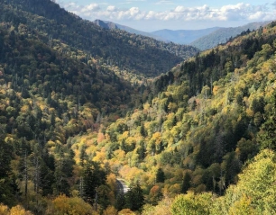 All You Should Know About The Great Smokies National Park