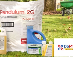 Protect Your Home: The Best 5 Domyown Products to Tackle Any Pest