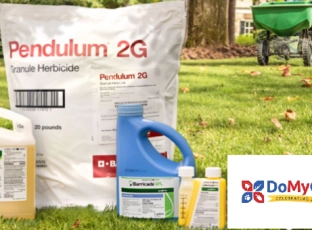 Protect Your Home: The Best 5 Domyown Products to Tackle Any Pest