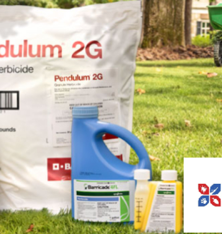 Protect Your Home: The Best 5 Domyown Products to Tackle Any Pest