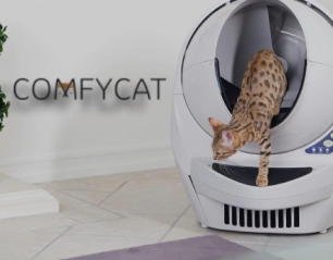 Catnap Heaven: Unveiling the Comfortable World of Comfy Cat