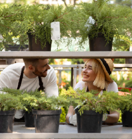 Mastering Indoor Gardening: Creative Solutions for Small Spaces