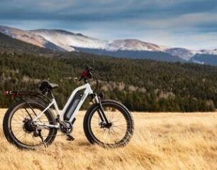 Explore the Power and Potential of Electric Bikes