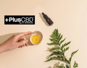 From Stress to Serenity: How Plus CBD Oil Can Transform Your Life