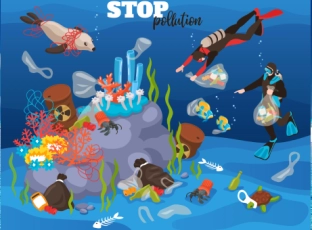 Plastic Pollution: Why the Oceans Need Our Help