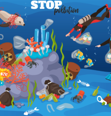 Plastic Pollution: Why the Oceans Need Our Help