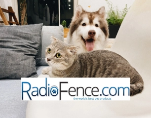 Train Your Pet the Smart Way: Radio Fence Have Innovative Training Solutions