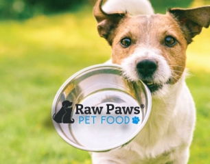 Raw Paws Pet Food: The Key to a Happy, Healthy Pet