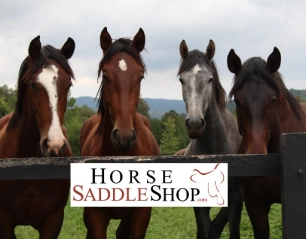 Ride in Style: The Best Saddle Brands at Horse Saddle Shop