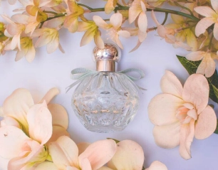 The Art of Scent: Unveiling the Secrets of Perfumes