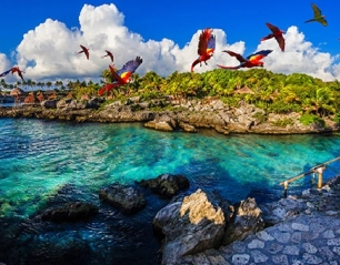 Why Xcaret Is the Ultimate Destination for Family Fun and Adventure