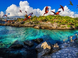 Why Xcaret Is the Ultimate Destination for Family Fun and Adventure