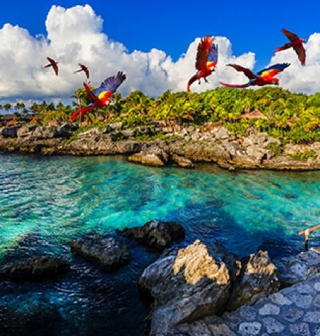 Why Xcaret Is the Ultimate Destination for Family Fun and Adventure