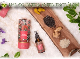 Unlocking the Power of Ayurveda: Your Guide to The Ayurveda Experience